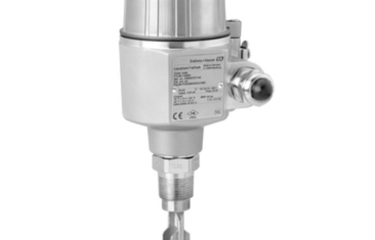 Датчик уровня Liquiphant FTL80 Endress+Hauser